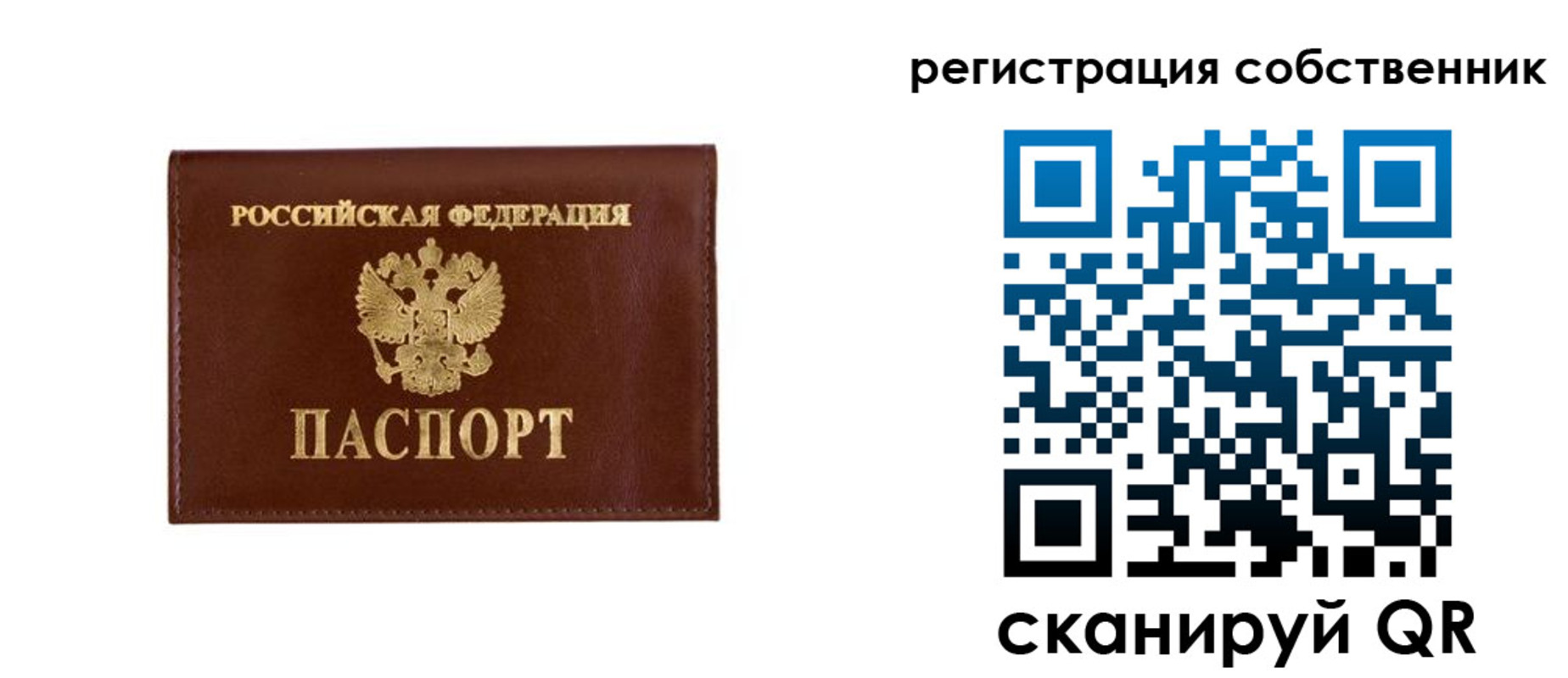 прописка законно в Мурманске